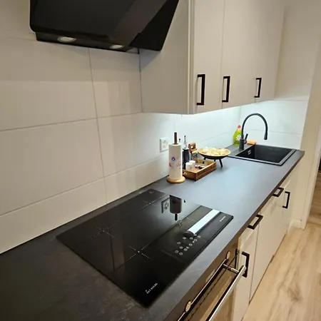 Appartement Ruhige 2-zi-wohnung Mit Garage